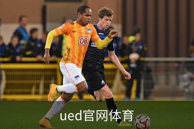 ued官网体育公司简介